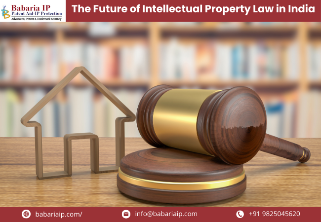 The Future of Intellectual Property Law in India